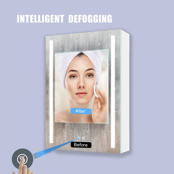 Latitude Run® 20'' W 30'' H Medicine with Mirror 1 Shelf Wayfair